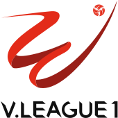 Vietnamese professional league